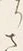 字さ