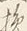 Character 損
