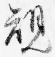 位置 確認된 規