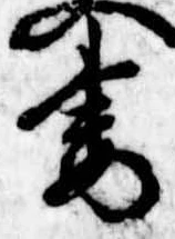 Đã định vị 妻
