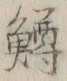 字鱒