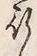 文字行