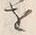 𡨸稼