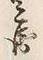 文字 兵
