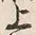 「上」字