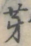 位置 確認된 芽
