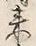 Character 来