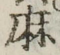 麻，已得其位