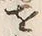 𡨸馬
