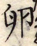 Đã định vị 卵