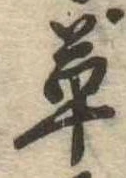 㐌定位草