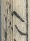 “八”字
