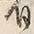 文字 司