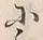 Character 至