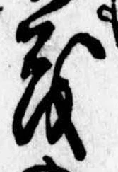 已定位茂