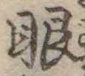 已定位眼