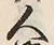 “間”字