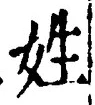 文字姓