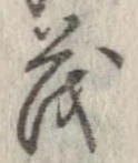 已定位茂