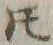 文字𪜈