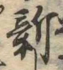 已定位新