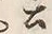 「公」字