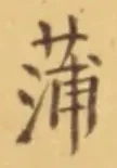 字蒲