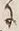 字枯