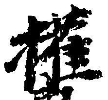 権の位置