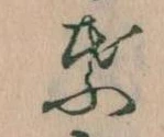 葉の位置