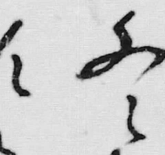 文字冬