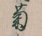 已定位菊