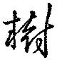 Đã định vị 樹