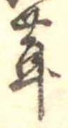 位置定マレル茸