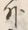 Character 外