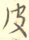皮の位置