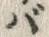 字バ