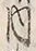 文字 内