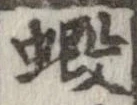 Located 蝦