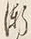 文字漸