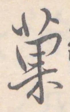 已定位菓