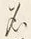 字瀬