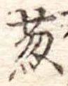 Đã định vị 葱
