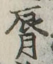 位置定マレル唇