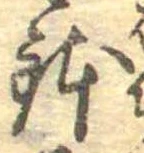 位置 確認된 鉢