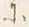 字あ
