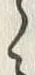 「ゝ」字