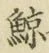 “鯨”字
