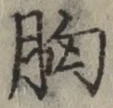 文字 胸