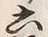 文字六
